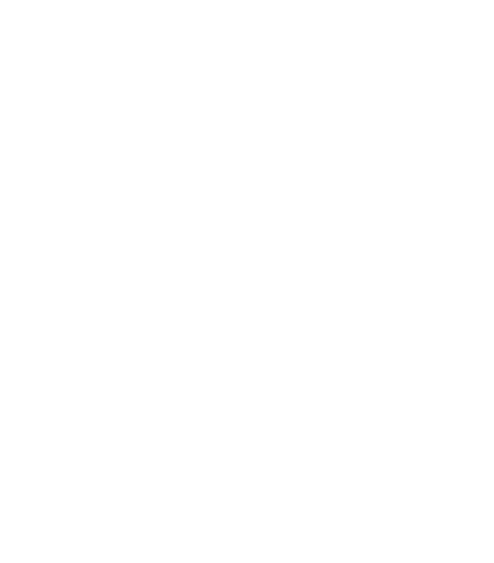 TikTok Logo
